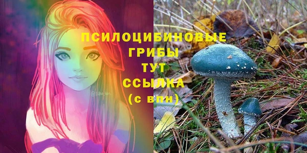 соль курить ск Богородицк