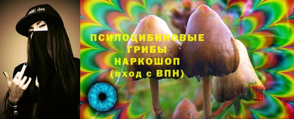соль курить ск Богородицк