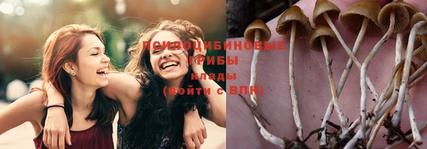 соль курить ск Богородицк